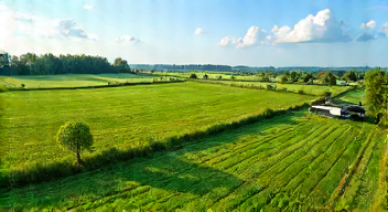 Die 6 häufigsten Fehler bei Agri-PV