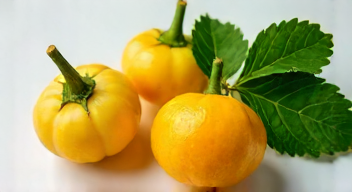 Die 6 häufigsten Fehler bei Ingwer