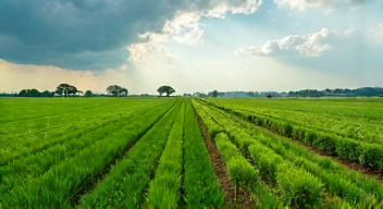 Die 6 häufigsten Fehler bei nachhaltiger Landwirtschaft