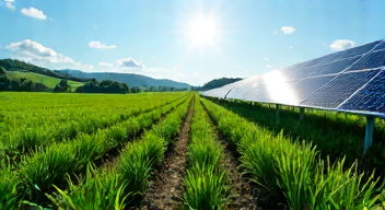 Einführung in die Agri-PV-Technologie (2/10)