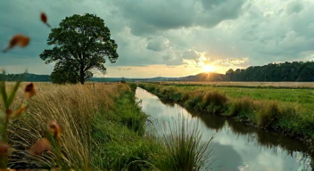 Meine Erinnerungen an die Klimadebatte und ihre Konsequenzen (1/10)