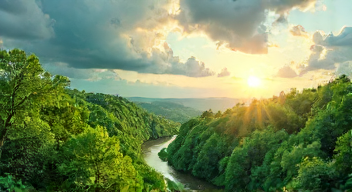 Das sind die Top 7 Schritte beim Klimaschutz