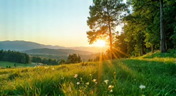 Das sind die Top 7 Schritte beim Klimawandel