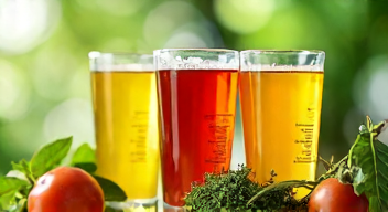 Pflanzentoxine und deren Risiken in Sojadrinks (4/10)