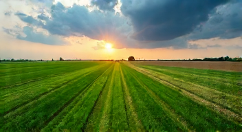 Perspektiven zu Klimawandel und Landwirtschaft