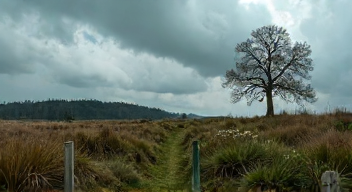 Psychologische Effekte des Klimawandels auf das Individuum (7/10)